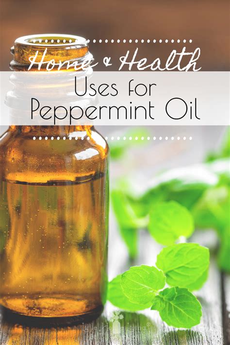 25 Uses For Peppermint Oil In And Around Your Home Peppermint Oil