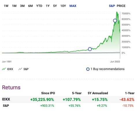 Motley Fools Best Stock Picks Of 2021