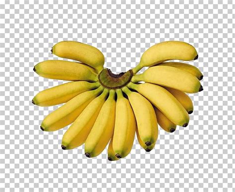 Saba Banana Cooking Banana Pisang Goreng Lady Finger Banana Png