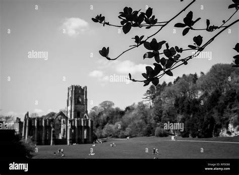 Fountains Abbey North Yorkshire Stock Photo Alamy