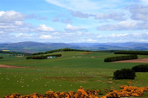 Lovely Landscape Fields Dundee Scotland Scotland Dund Glen
