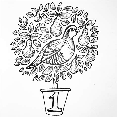 Please, explain to me, what partridge in a pear tree is supposed to mean? A partridge in a pear tree #penandink #drawing #doodle # ...