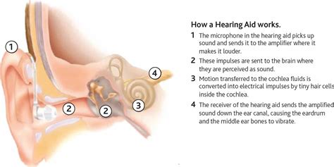 Why Hearing Aid Is Important For Deaf People Icphs
