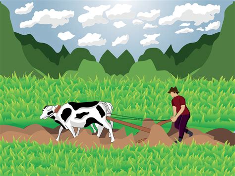 The Farmer Is At Work Plowing The Fields With His Cows 13816639 Vector