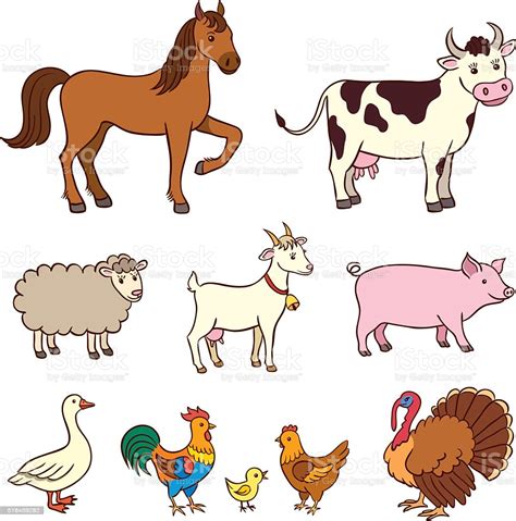 Ilustración De Animales De Granja En Estilo De Dibujos Animados Y Más Vectores Libres De