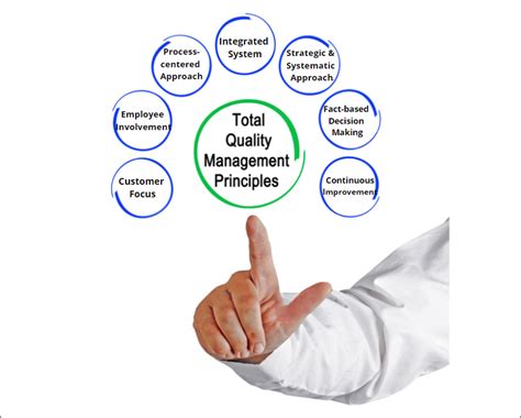 Principles Of Total Quality Management For Continuous Improvement
