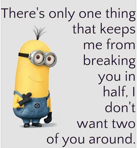 Top 40 Minion Jokes Quotes And Humor