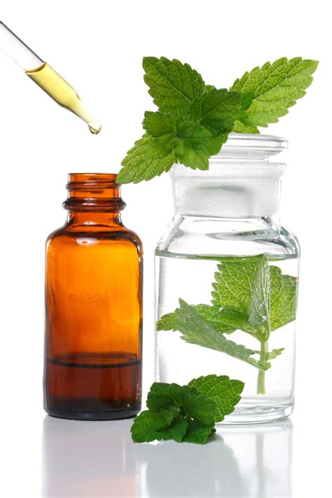 You can use it for a pest control spray in the garden or in your home. Lini-Mint DIY Peppermint Foot Spray - Kolya Naturals