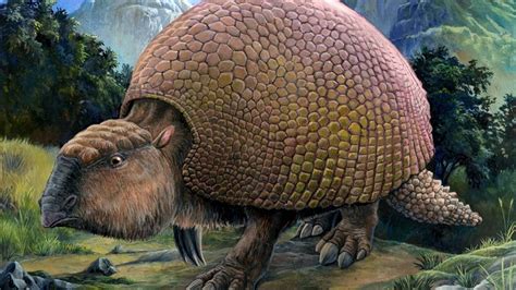 This Ancient Giant Armadillo Is Responsible For Giving Us The Avocado