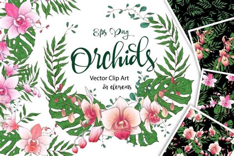 Orchids Vector Clip Art 14 Master Bundles
