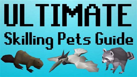 # of ticks per action * virtual lvl +50 if 200m / 50000000 for agility courses pet drops are one of the most fun goals you can go for in osrs. OSRS ULTIMATE Skilling Pets Guide (With Comparisons ...