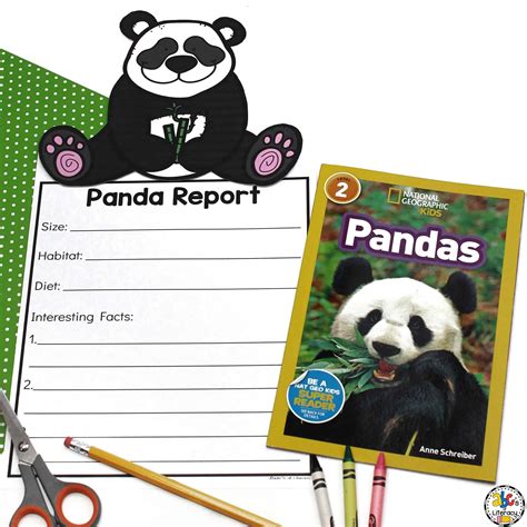 Panda Report Animal Research And Writing Report For Kids