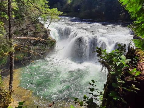 20210504 Fs Ford Pinchot National Forest Lower Falls Da Flickr