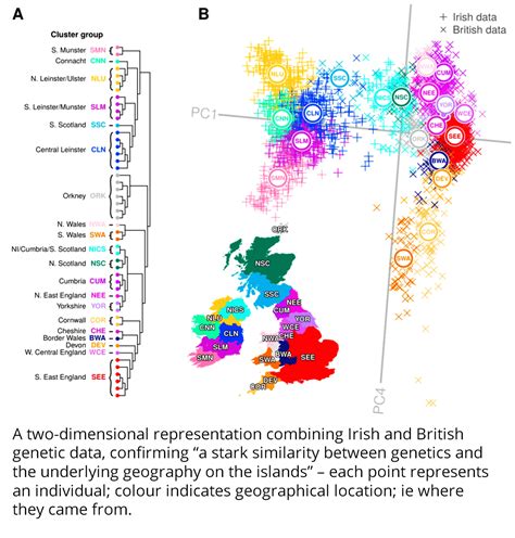 New Genetic Map Reveals Irish People Share Far More Dna With The