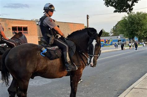 Mounted Unit horses donated to N.J. State Police - One United Lancaster