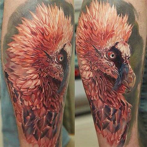 Vulture tattoos make a very solid statement. 17 Best images about Bearded Vultures on Pinterest ...