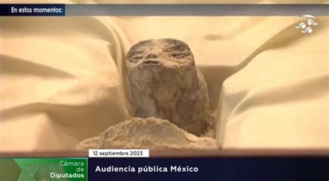 Kejanggalan 2 Jasad Alien Di Kongres Meksiko Verona Pictures