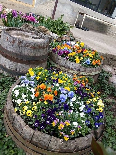 Pin on Garden flowers arrangements