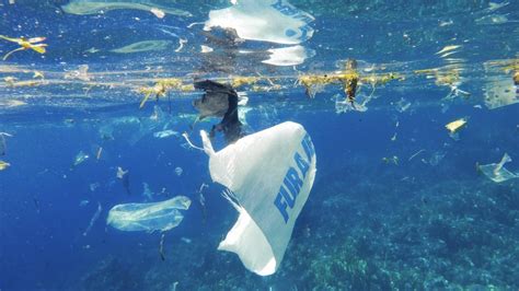 Documentário Oceano De Plástico Ensino