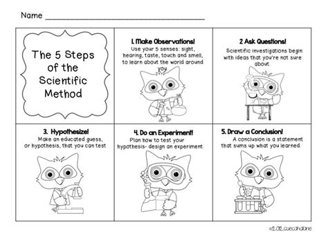 Scientific Method Worksheets For Kindergarten