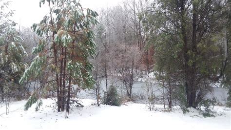 Photos Major Winter Snow Storm Hits North Carolina