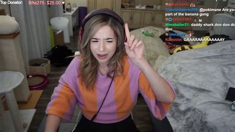 The 80 Million Pokimane Twitch Donation What Really Happened