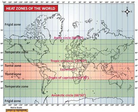 Climatic Zones Of Earth — Lesson Social Science Class 8