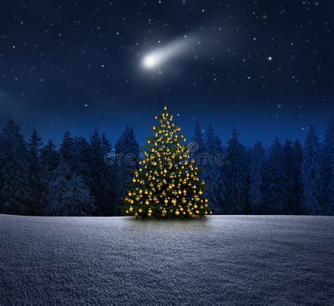 Leuchtender Weihnachtsbaum Im Schnee Bei Nacht An Heiligabend Stockfoto