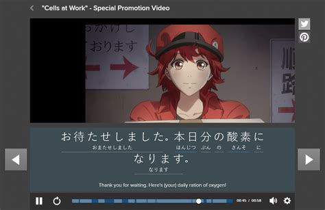 Details Japanese Subtitles For Anime In Duhocakina
