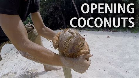 easiest way to open coconuts on desert islands youtube