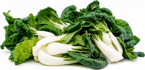 Baby Bok Choy Cabbage Information Recipes And Facts