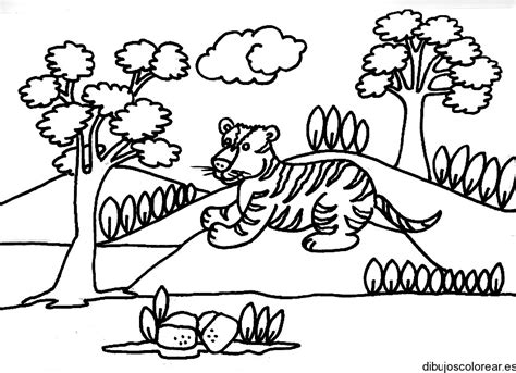 Feb 19, 2018 · 1. Dibujo de un tigre corriendo
