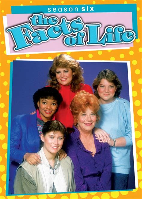 The Facts Of Life Season Six 3 Discs Dvd Best Buy
