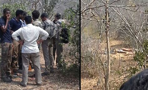 Red Sander Smugglers Shot Dead In Chittoor Forests In Andhra Pradesh Kannadiga World