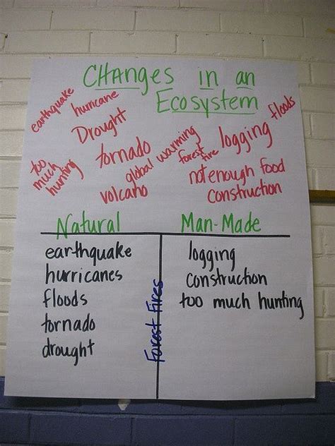 Ecosystems 5th Grade Science Science Anchor Charts Elementary Science