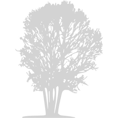 Light Gray Tree 31 Icon Free Light Gray Tree Icons