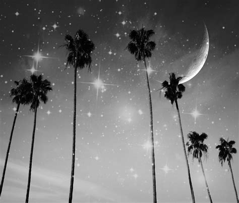 Black And White Starry Night Photograph By Marianna Mills Pixels