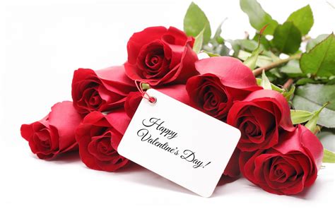 We did not find results for: Valentine's Day Roses Ideas For Your Love ...