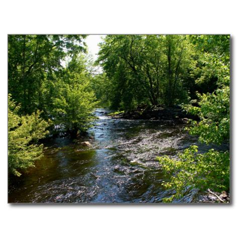 Meandering Pushaw Stream West Old Town Maine Maine Postcard Nature