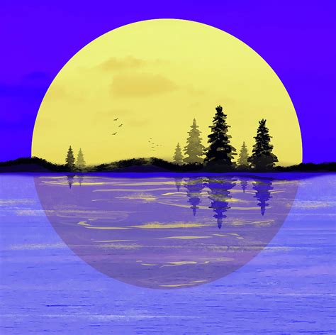 Moonlight Silhouettes Digital Art By Sherrie Triest Fine Art America