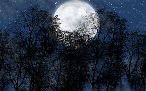 Wallpaper Night Moon Stars Trees Silhouette Digital Art