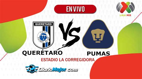 Currently 6 different bookies are included in our calculation. Querétaro vs Pumas【 EN VIVO 】ONLINE | Liga MX Apertura 2019
