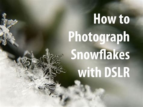 How To Photograph Snowflakes With Dslr