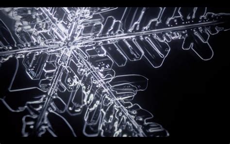 Watch This Mesmerizing Timelapse Video Of How Snow Flakes Are Formed
