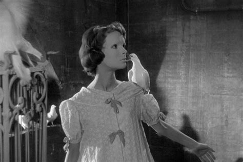 Classic Movie Review Eyes Without A Face 1960 Movie Paws