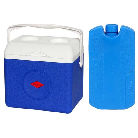 10 best air coolers of july 2021. Willow Sixer Cooler with Medium Ice Brick | BIG W