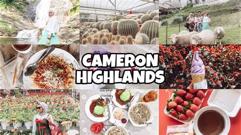 The cameron highlands is a district in pahang, malaysia, occupying an area of 712.18 square kilometres (274.97 sq mi). TEMPAT MENARIK CAMERON HIGHLANDS - YouTube