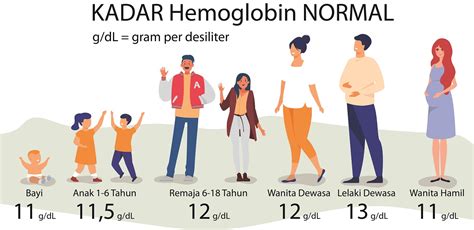 Indikator Hemoglobin Normal