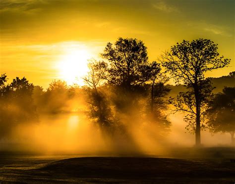 Misty Morning Sunrise