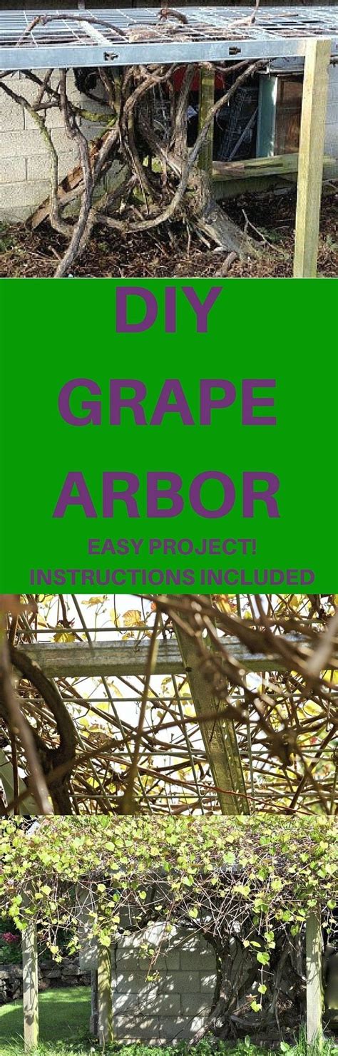 Each plant will need about 8 feet of horizontal trellis space. DIY Grape Arbor | 1000 - Modern Design in 2020 | Grape arbor, Grape trellis, Growing grapes